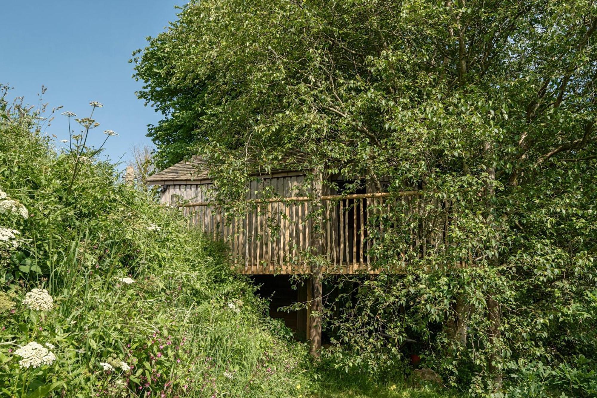 The Treehouse At Salcombe Farm Villa Exterior photo